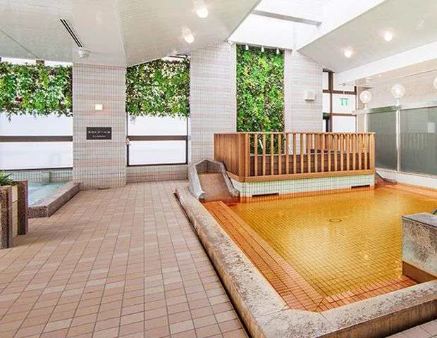 東京・大田區・西蒲田／蓮沼溫泉設施（はすぬま温泉）(大田区)之口（コミ）情報「（こんな）銭湯（だったら）毎日通（いたい）。…」(2026年01月26日 12時54分投稿)｜（ニフティ）溫泉