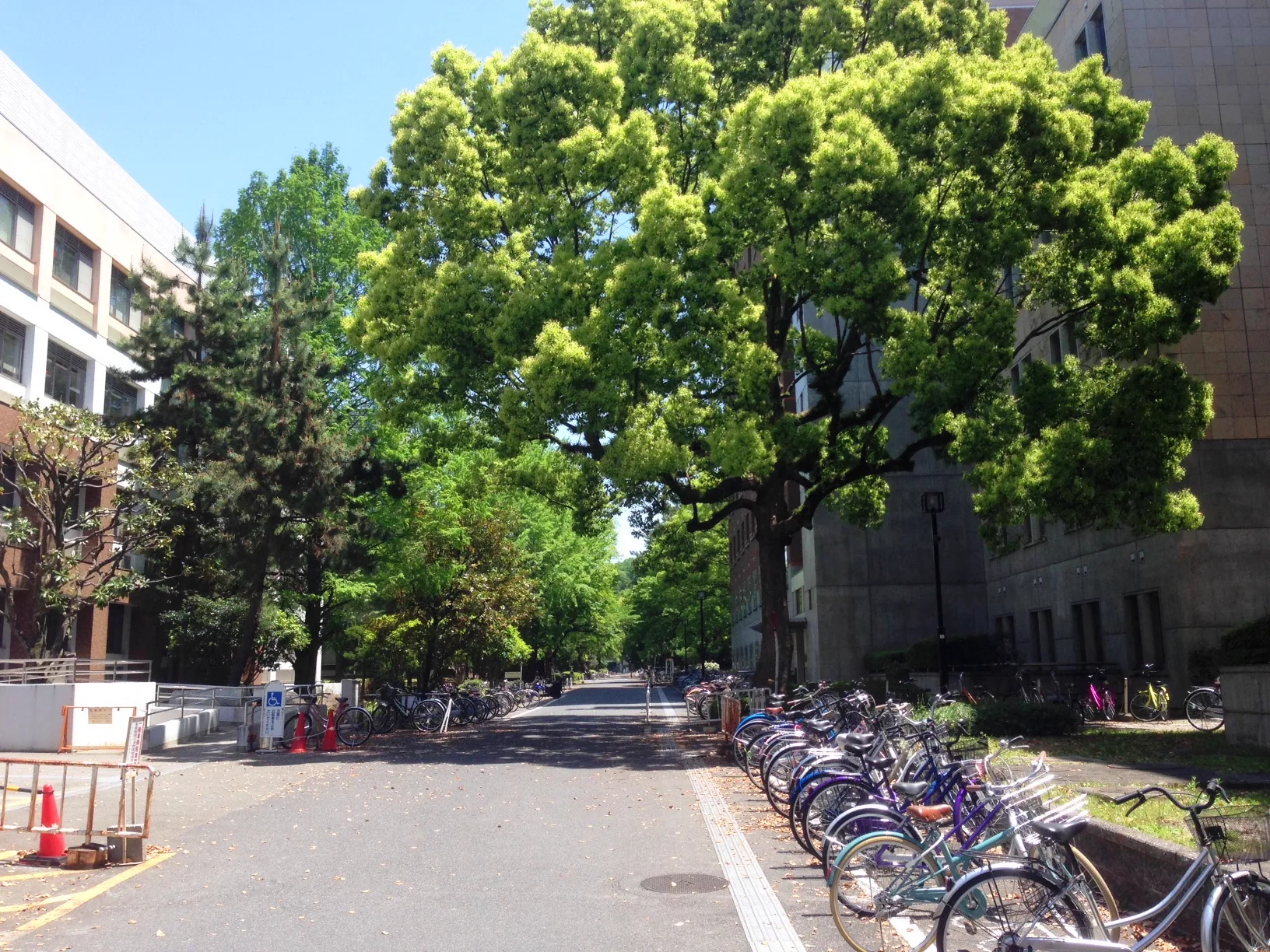 京都左京區錢湯怎麼選?2026按「行程終點」選11間,不用再折返京都站