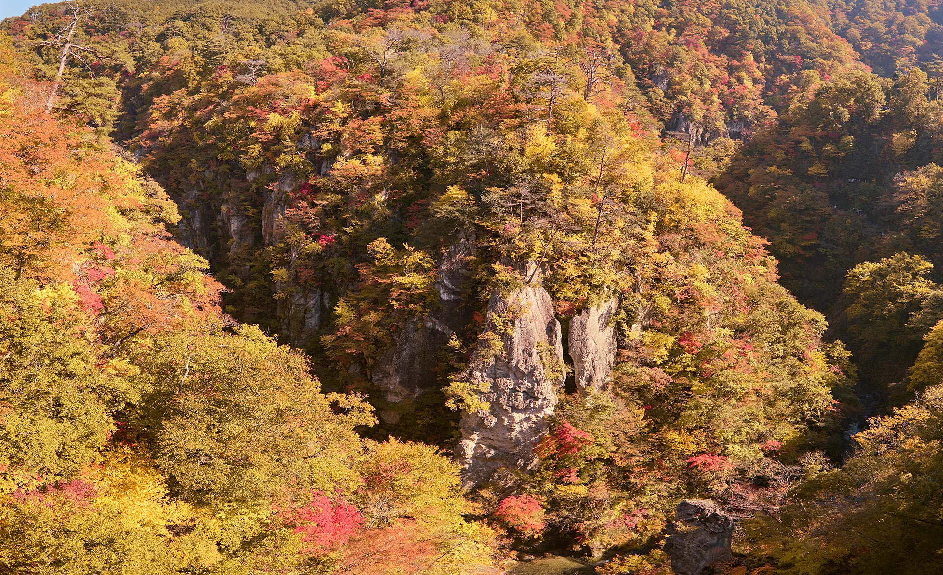 秋季鳴子峽的岩壁、樹林與紅葉景觀
