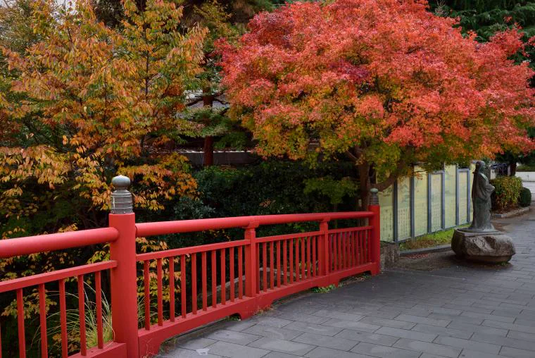 有馬溫泉 中之坊瑞苑(中の坊 瑞苑)第二張旅館實景