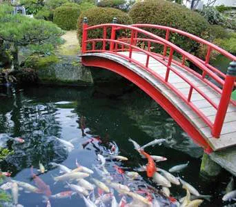 宮濱溫泉廣島・廿日市・宮濱溫泉溫泉設施（旅館かんざき）日間日本庭園與錦鯉池