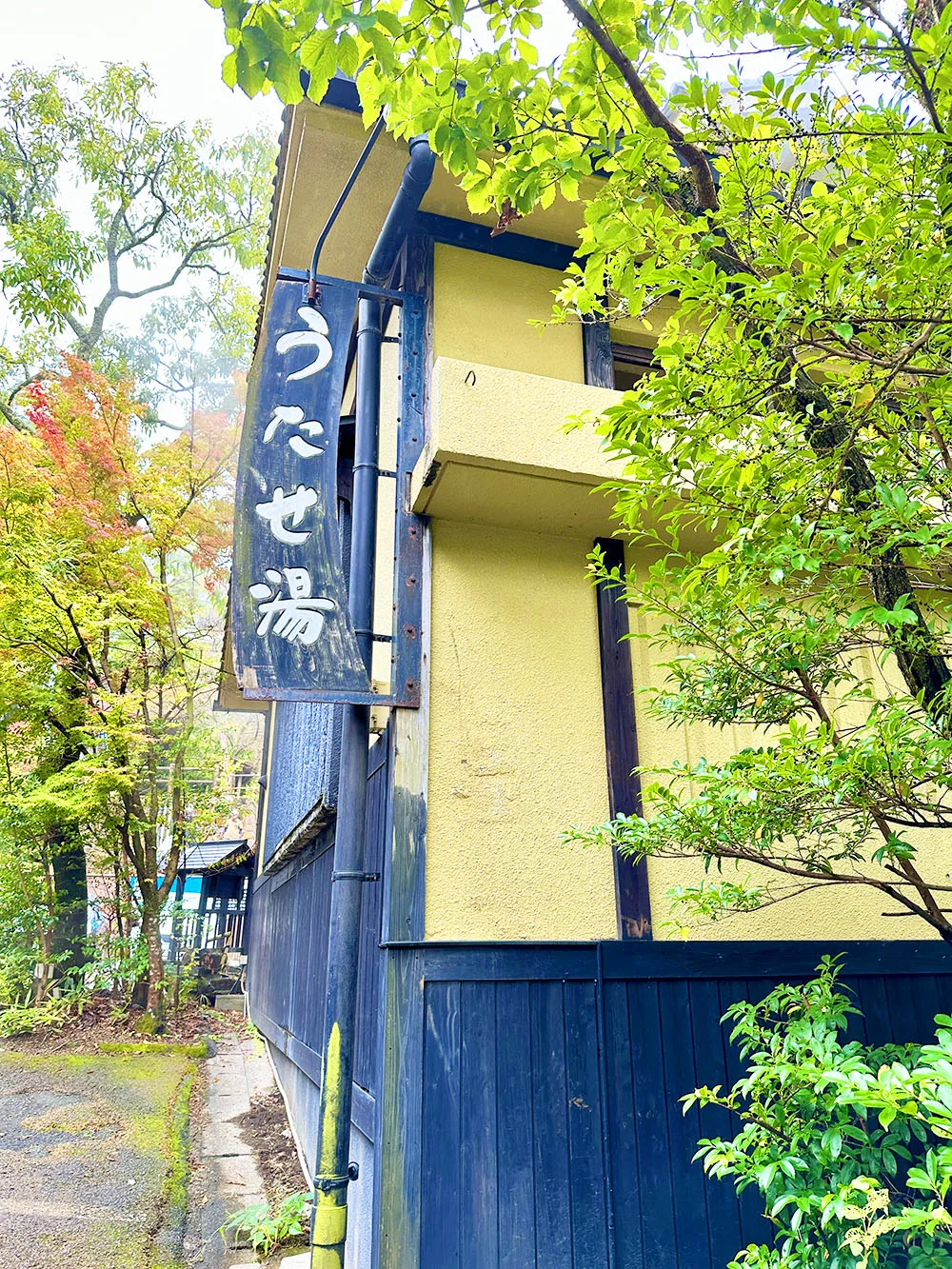 筋湯溫泉日歸怎麼選?(うたせ)公共大浴場(大浴場,供多名住客共同使用)、岩(ん)湯、薬師湯與私人包場浴池(貸切浴池,按時段供同一組客人獨立使用)比較